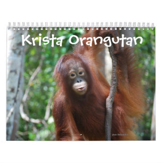 Calendario Caridad de vida silvestre Krista Orangutan