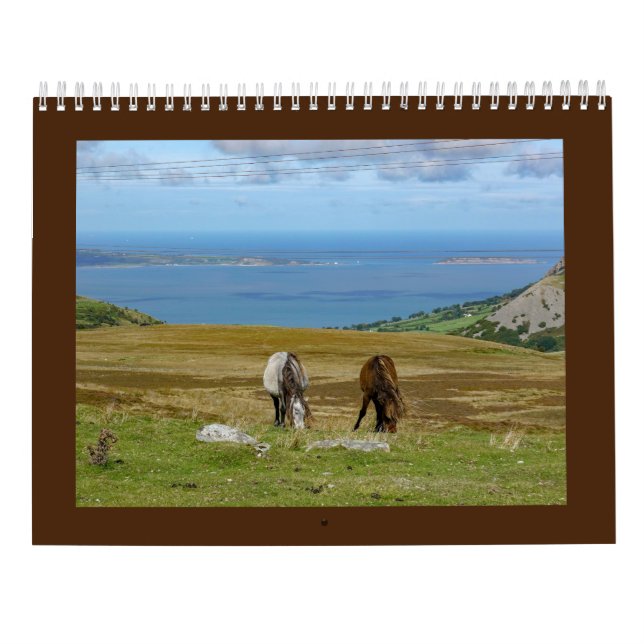 Calendario Carneddau Ponies de Sarah Woodbury (Reverso)
