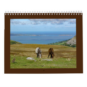 Calendario Carneddau Ponies de Sarah Woodbury