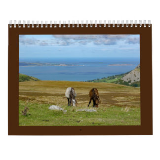 Calendario Carneddau Ponies de Sarah Woodbury