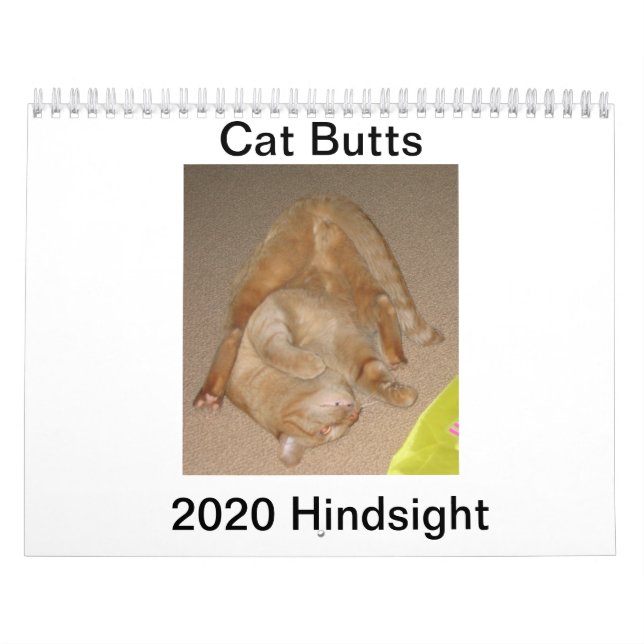 Calendario Cat Butt 2020 (Tapa)