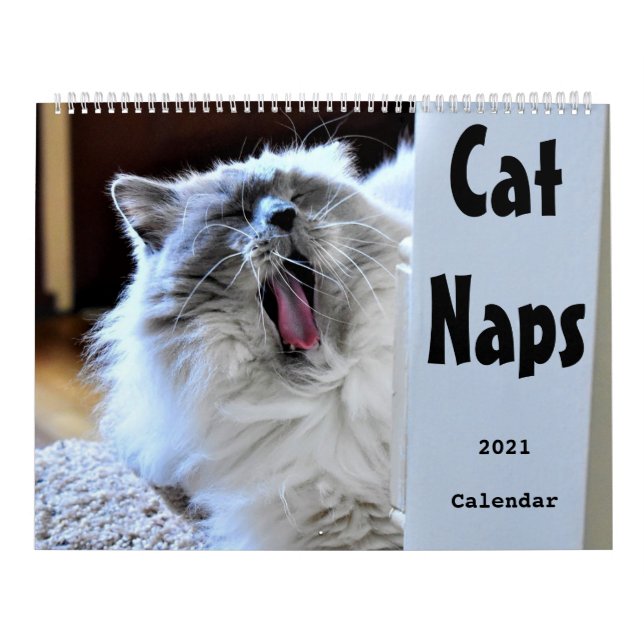 Calendario Cat Naps 2021 (Tapa)