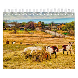 Calendario Cathy P. Jones 2019