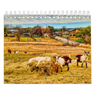 Calendario Cathy P. Jones 2019