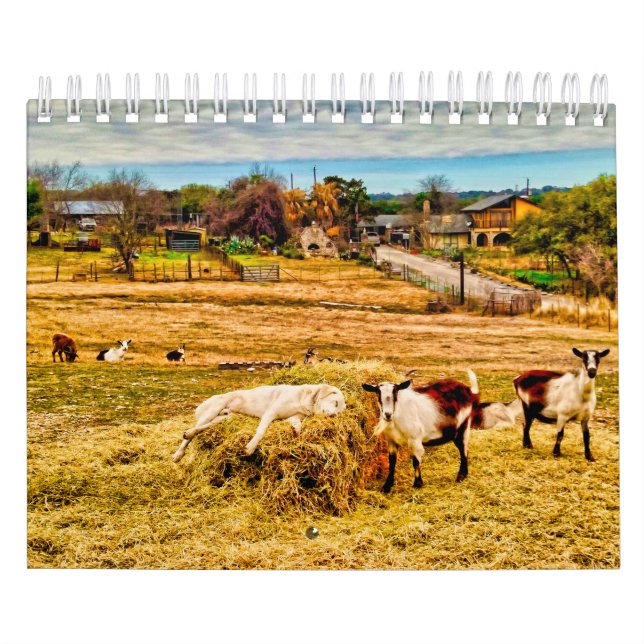 Calendario Cathy P. Jones 2019 (Tapa)