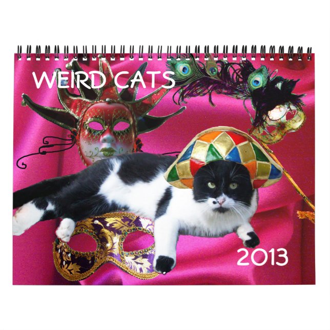 CALENDARIO CATOS EXTRAÑOS 2013 (Tapa)