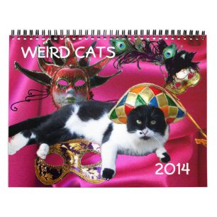 CALENDARIO CATOS EXTRAÑOS 2014