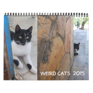 CALENDARIO CATOS EXTRAÑOS 2017