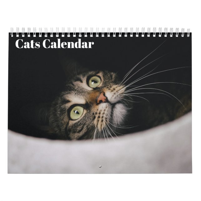Calendario Cats 2026 Calendar (Tapa)