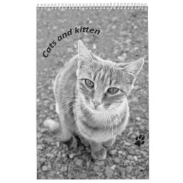 Calendario Cats and kitten