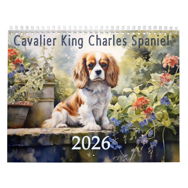 Calendario Cavalier King Charles Spaniel 2026 (Tapa)