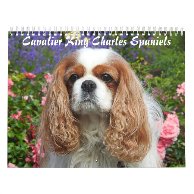 Calendario Cavalier King Charles Spaniel Dog #2 (Tapa)