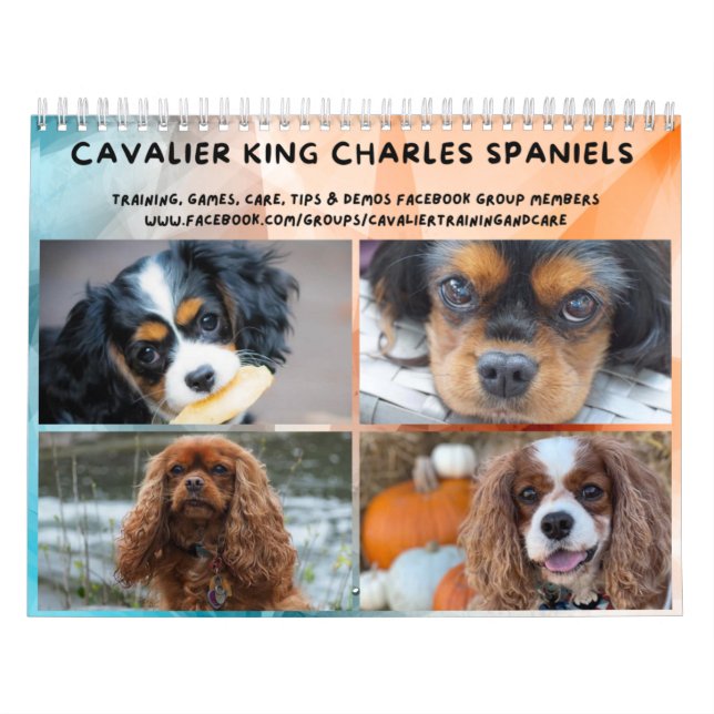 Calendario Cavalier King Charles Spaniel FB Group (Tapa)