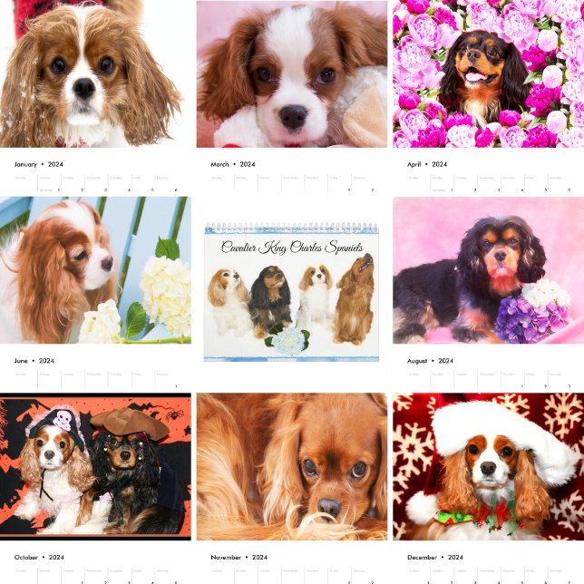 Calendario Cavalier King Charles Spaniels (Subido por el creador)