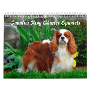 Calendario Cavalier Rey Carlos Español Perro