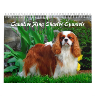Calendario Cavalier Rey Carlos Español Perro