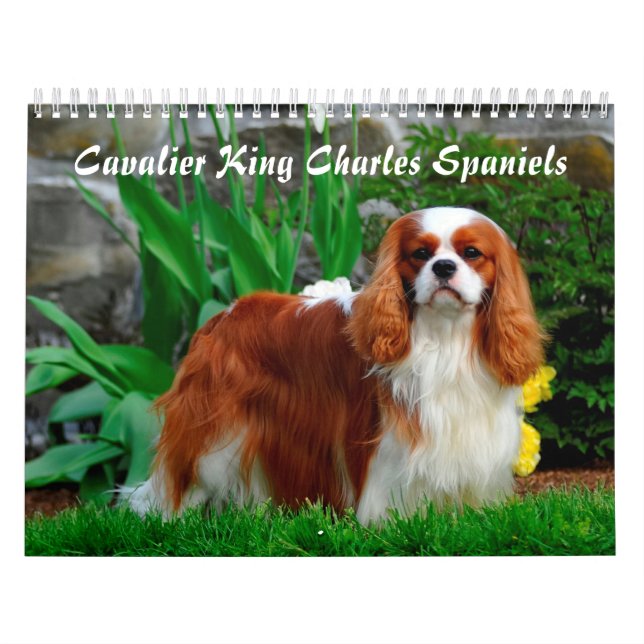 Calendario Cavalier Rey Carlos Español Perro (Tapa)
