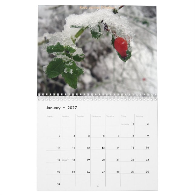 Calendario CdG 2010 (Jan 2027)