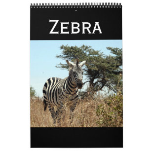 Calendario cebra