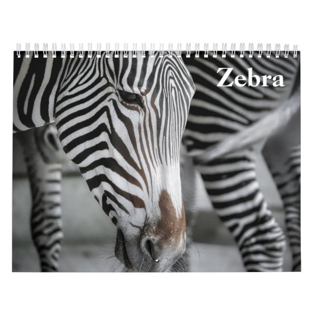Calendario Cebra 2027 (Tapa)
