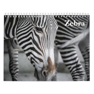 Calendario Cebra 2027