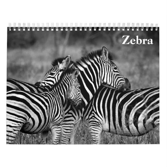 Calendario cebra 2027 (Tapa)