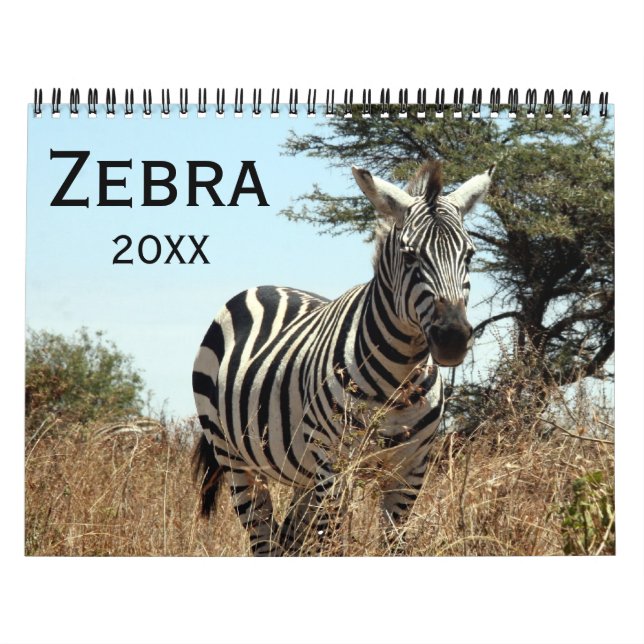 Calendario cebra 2027 (Tapa)