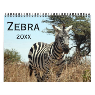 Calendario cebra 2027