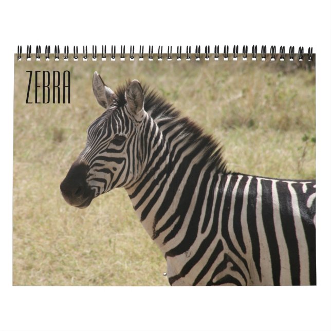 Calendario cebra 2027 (Tapa)