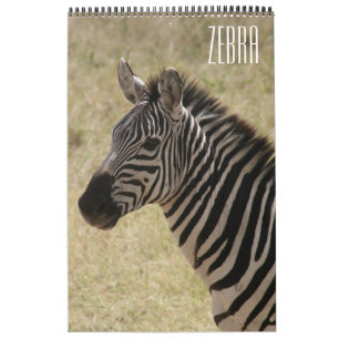 Calendario cebra africa