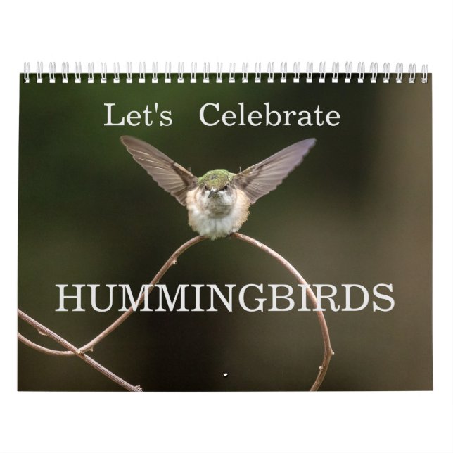 Calendario Celebremos los Hummingbirds (Tapa)