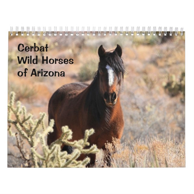 Calendario Cerbat Wild Horses Calendar (Tapa)