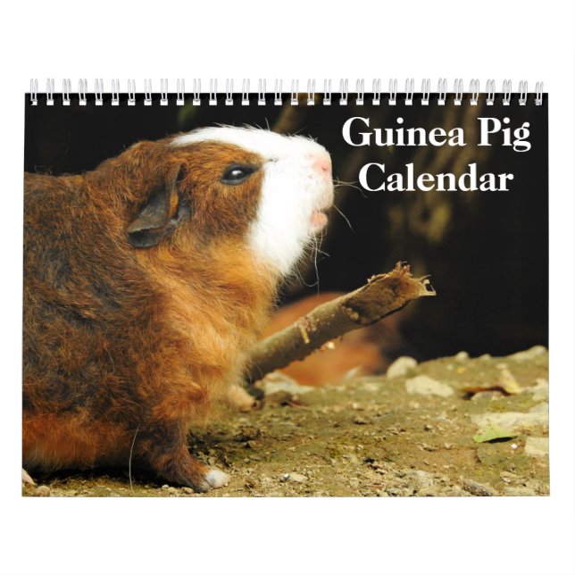 Calendario Cerdo de Guinea 2024 (Tapa)