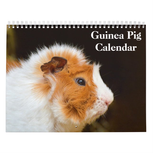 Calendario Cerdo de Guinea 2025 (Tapa)