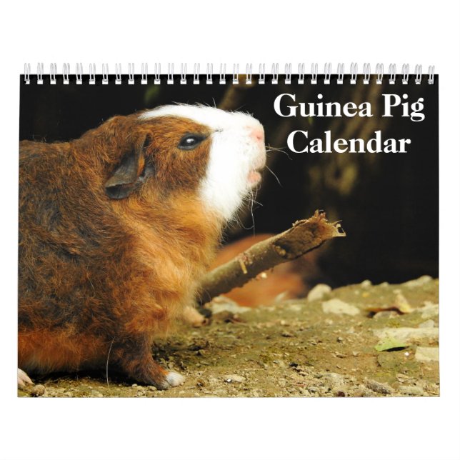 Calendario Cerdo de Guinea 2025 (Tapa)