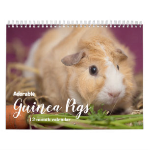 Calendario Cerdos de Guinea Adorables 2026