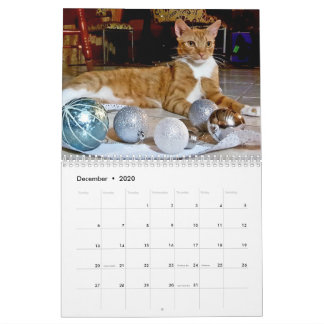 Calendario Cheeto Dacutecat 2020