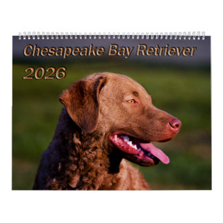 Calendario Chesapeake Bay Retriever 2026 Calendar