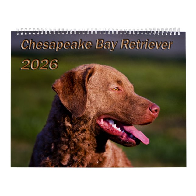 Calendario Chesapeake Bay Retriever 2026 Calendar (Tapa)