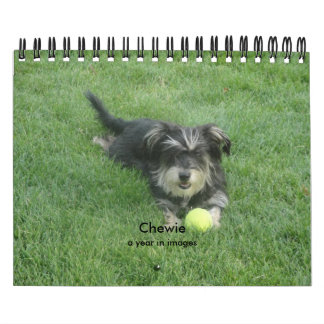 Calendario Chewie: Un año en imágenes