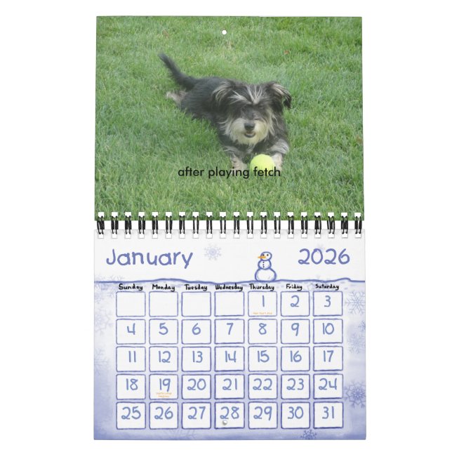 Calendario Chewie: Un año en imágenes (Jan 2026)