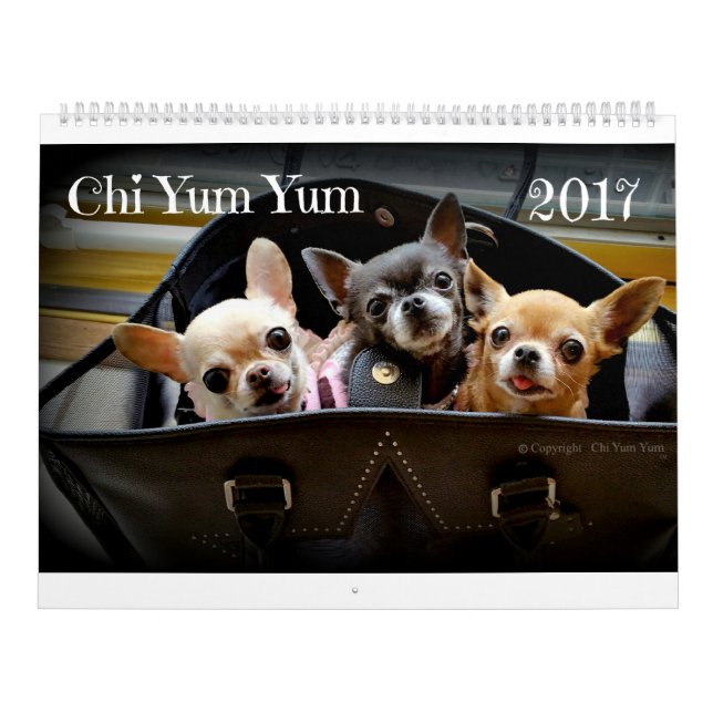 Calendario Chi Yum 2017 (Tapa)