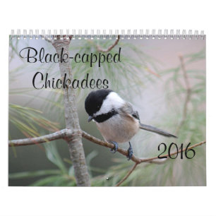 Calendario Chickadee
