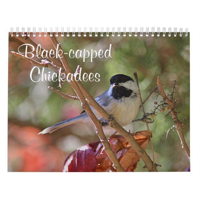 Calendario Chickadee (Tapa)