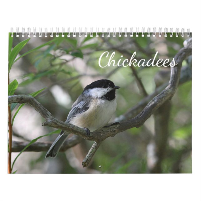 Calendario Chickadees (Tapa)