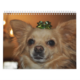 Calendario Chihuahua