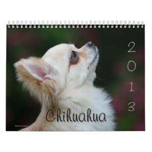 Calendario Chihuahua