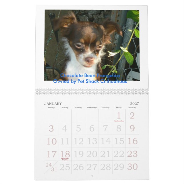 Calendario Chihuahua 2011 Calander (Jan 2027)