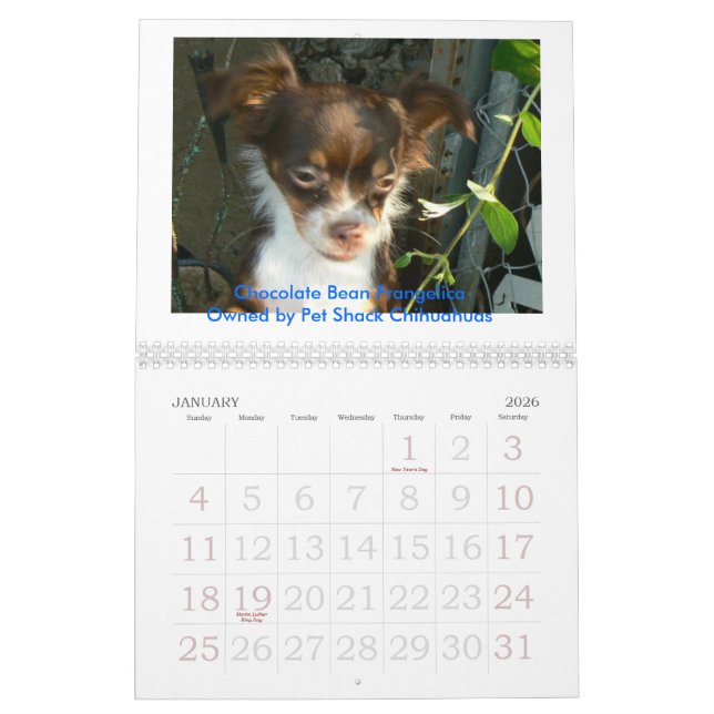 Calendario Chihuahua 2011 Calander (Jan 2026)