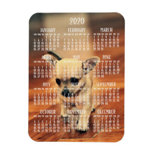 Calendario Chihuahua 2020 Imán fotográfico 3x4 peq